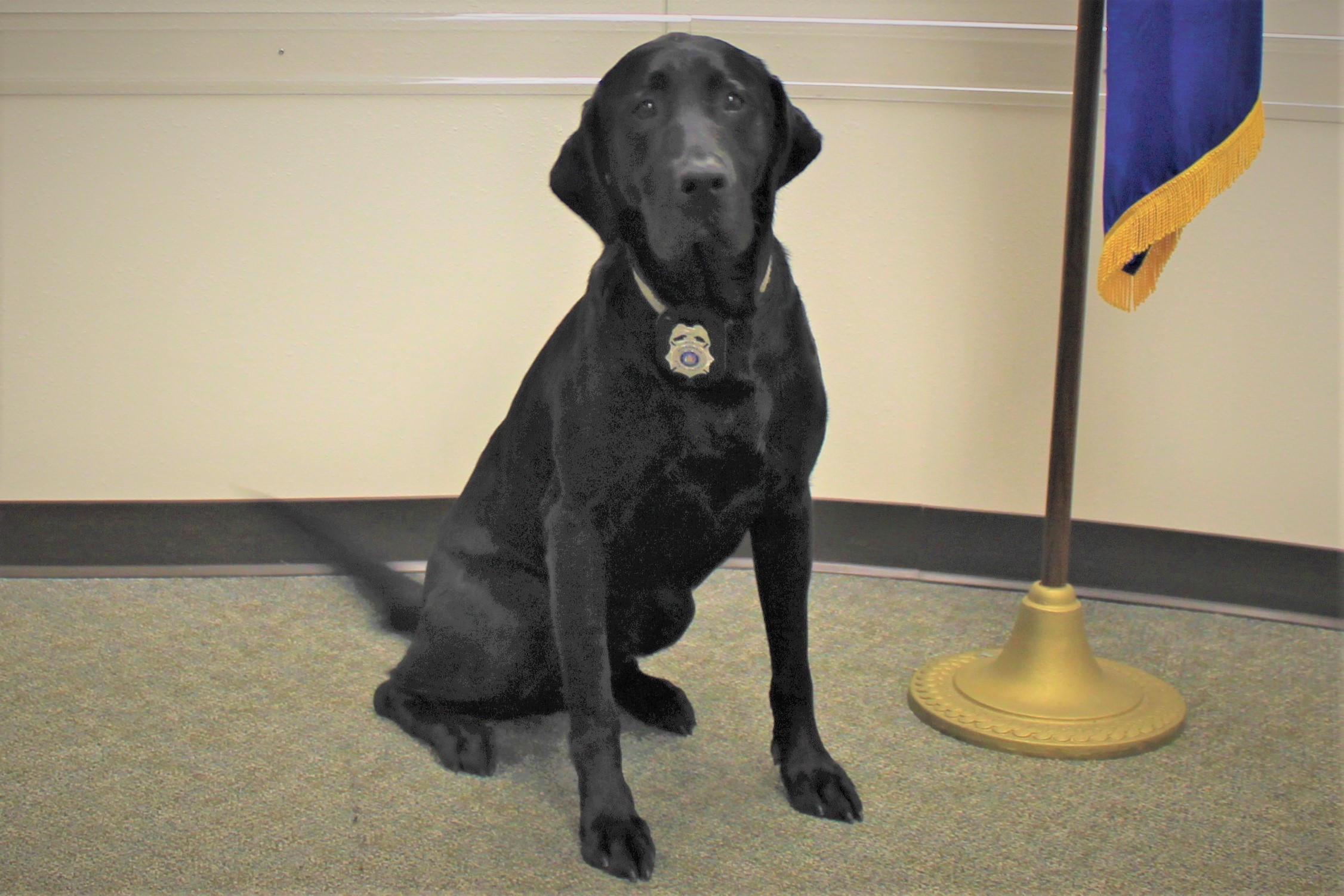 Wisconsin State Patrol Home